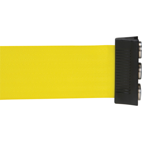 Wall Mount Barrier with Magnetic Tape, Steel, Screw Mount, 12', Yellow Tape Equipment World