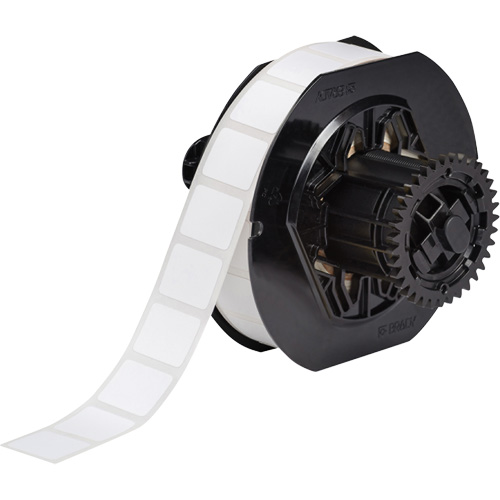 B33 Series Microscope Slide Laboratory Labels, Polyester, 0.9" L x 0.75" H, White Equipment World