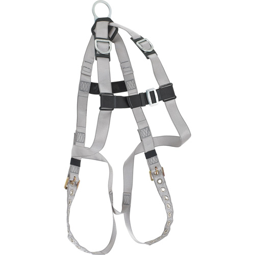 Dynamic B-Compliant Economy Harness, CSA Certified, Class AE, 310 lbs. Cap. Equipment World
