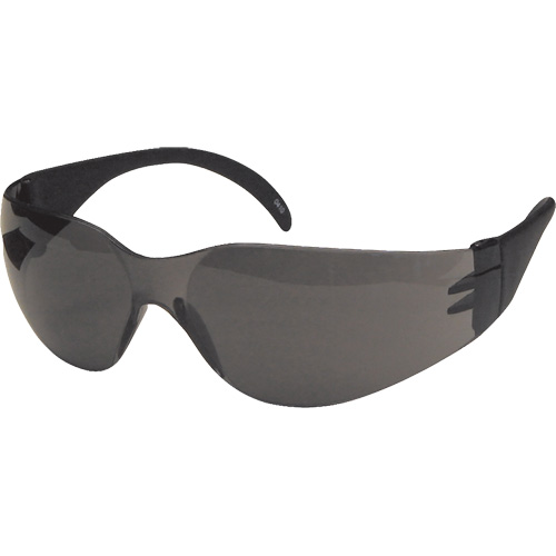 CeeTec Safety Glasses, Grey Lens, Anti-Fog/Anti-Scratch, Meets/Exceeds CSA Z94.3 Equipment World