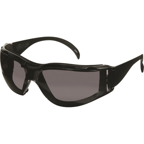 Lunettes de s&eacute;curit&eacute; CeeTec DX, Lentille Gris, Antibu&eacute;e/Anti-&eacute;gratignures, R&eacute;pond ou surpasse la norme CSA Z94.3 Equipment World