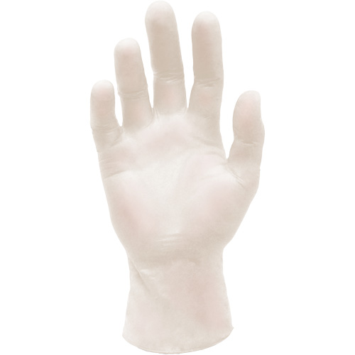 Synthetic Stretch Medical Examination Gloves, Large, Vinyl, 5-mil, Powder-Free, White, Class 2 Equipment World
