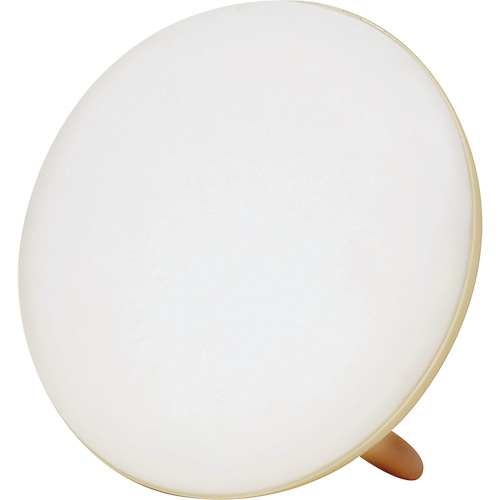 Jumbo Therapy Light for Seasonal Affective Disorder Equipment World