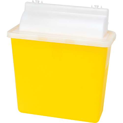 Sharps Container, 4.6L Capacity Equipment World