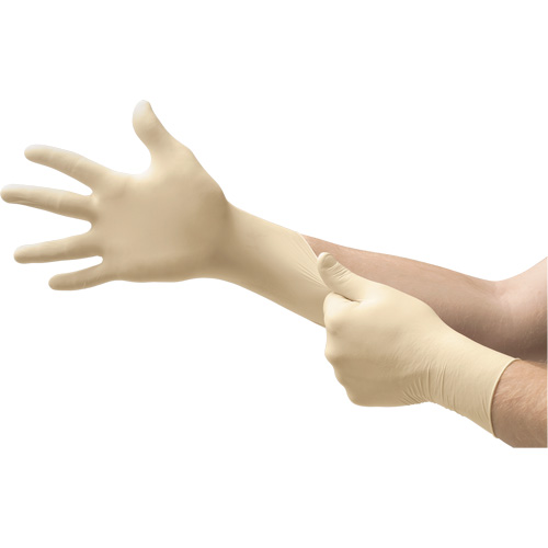 Microflex&reg; L56 Gloves, Small, Latex, 5.1-mil, Powder-Free, Natural Equipment World