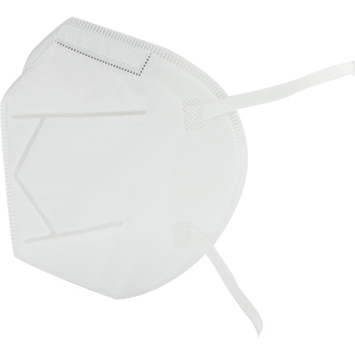 Respirateur jetable, N95, Certifi&eacute; NIOSH, Taille unique Equipment World