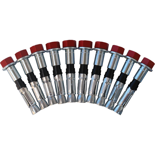 Replacement Bolt Kit for Concrete D-Ring Anchors, Bolt-On, Permanent/Temporary Use Equipment World