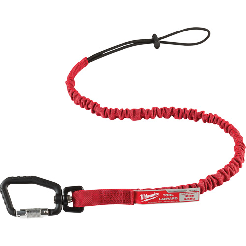 Locking Tool Lanyard, Bungee, Carabiner/Loop Equipment World