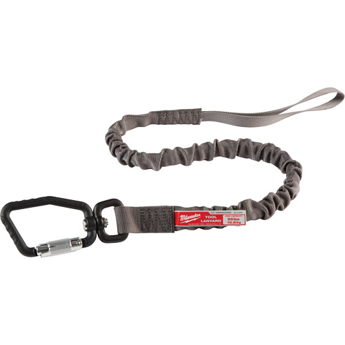 Locking Tool Lanyard, Bungee, Carabiner/Loop Equipment World