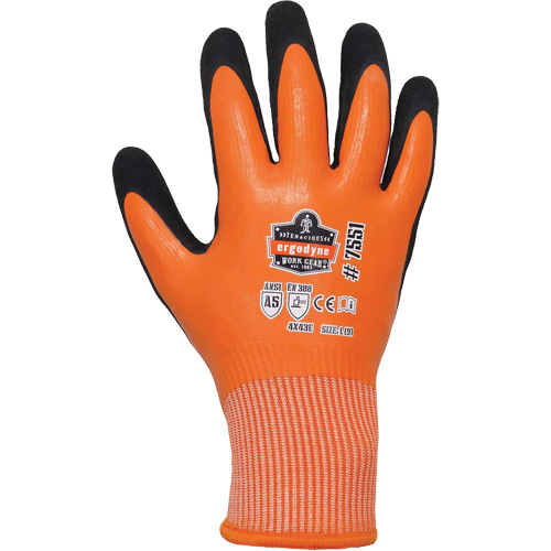 Gants de travail enduits et r&eacute;sistant &agrave; la coupe pour l'hiver ProFlex 7551, Taille Petit, Calibre 10/13, Rev&ecirc;tement Nitrile/Latex de caoutchouc, Enveloppe en PEHP, ASTM ANSI niveau A5/EN 388 niveau E Equipment World