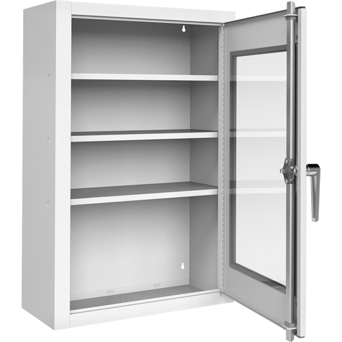 Lockable Medicine Cabinet with Plexiglas Door Equipment World