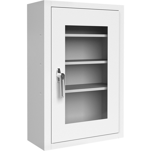 Lockable Medicine Cabinet with Plexiglas Door Equipment World