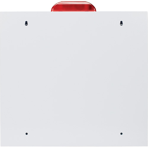 Grande armoire standard pour DEA avec alarme & stroboscope, Zoll AED Plus/Zoll AED 3/Cardio-Science/Physio-Control Pour, Non m&eacute;dical Equipment World