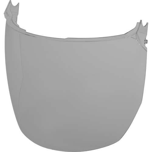 Face Shield Replacement Lenses, Polycarbonate, Grey/Smoke Tint Equipment World