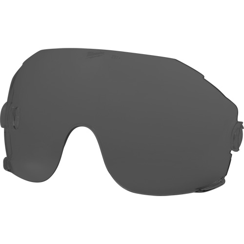 Eye Visor Replacement Lenses, Grey/Smoke Tint Equipment World
