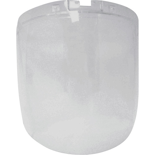 &eacute;cran antibrouillard de remplacement de la s&eacute;rie DP4, Polycarbonate, Teinte Transparent Equipment World