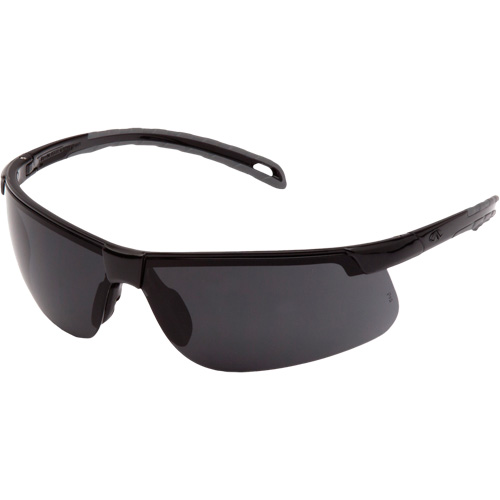 Ever-Lite&reg; Safety Glasses, Dark Grey Lens, ANSI Z87+/Meets/Exceeds CSA Z94.3 Equipment World