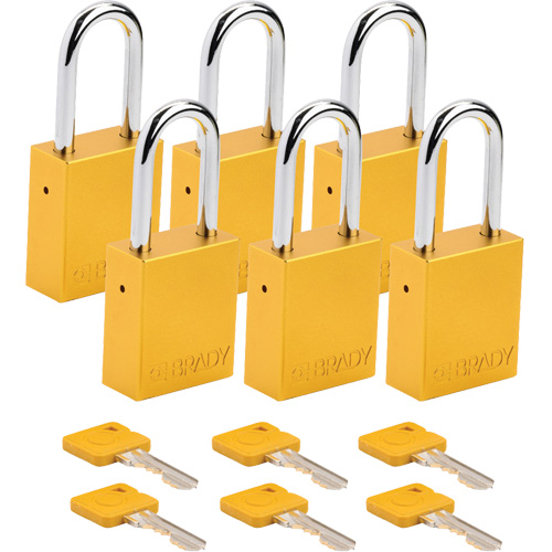 Cadenas de s&eacute;curit&eacute;, Cadenas de s&eacute;curit&eacute;, Cl&eacute;s diff&eacute;rentes, Aluminium, Largeur de 1-1/2" Equipment World