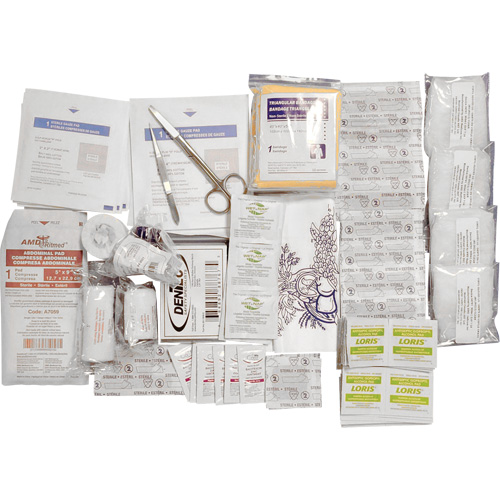 Shield Basic First Aid Kit Refill, Meets CSA Z1220-17 Type 2 Low-Risk Environment, Small (2-25 Workers) Equipment World