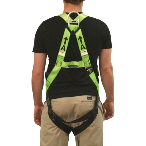 FBH-10000L Contractor Series Safety Harness, CSA Certified, Class AL, 400 lbs. Cap. Equipment World