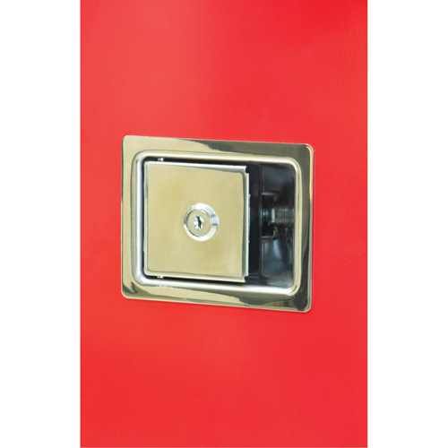 Armoires ext&eacute;rieures robustes pour extincteurs, 14" la x 28" h x 10" p Equipment World