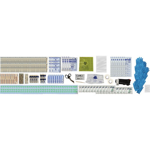 Shield First Aid Kit, Meets/Exceeds CSA Z1220-24 Type 2 Low-Risk Environment, Large (51-100 Workers) Equipment World