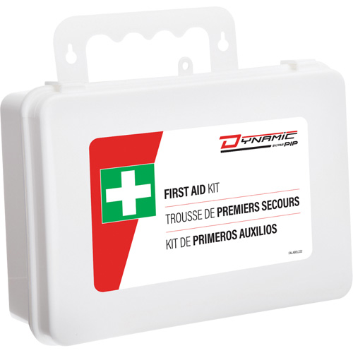 Dynamic First Aid Kit, Meets/Exceeds CSA Z1220-24 Type 2 Low-Risk Environment, Large (51-100 Workers) Equipment World