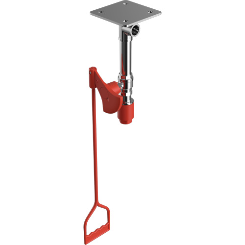 Drench Shower, Ceiling-Mount Equipment World