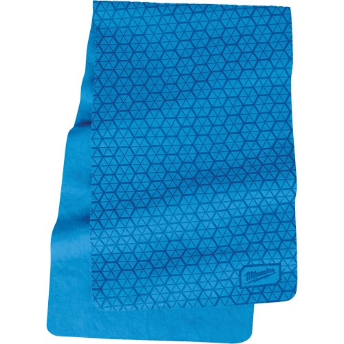 Cooling PVA Towel, Blue Equipment World