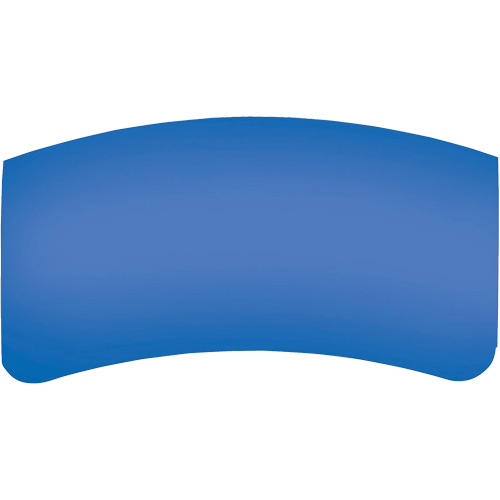 Bullard GenVX PETG Outer Lens Equipment World