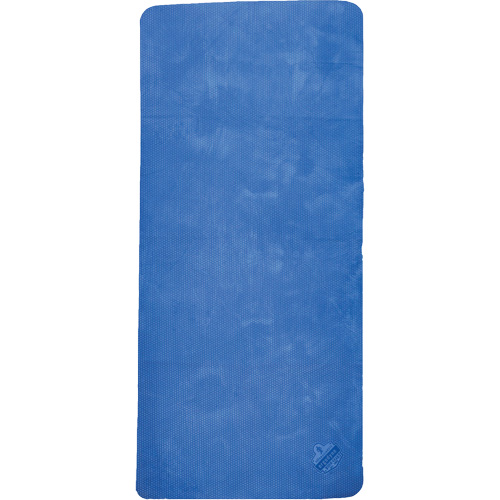 Chill-Its 6601 Economy Evaporative Cooling Towel, Blue Equipment World