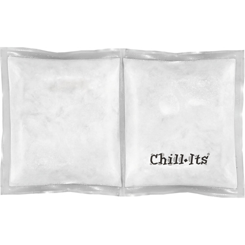 Chill-Its 6283 Rechargeable Phase Change Pack Equipment World