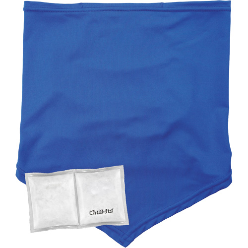 Chill-Its 6482 Cooling Neck Gaiter Bandana with Rechargeable Phase Change Packs, Small/Medium, Blue Equipment World