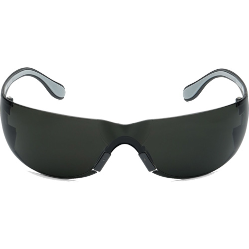 Adapt Lite Safety Glasses, Smoke Lens, Anti-Fog/Anti-Scratch, ANSI Z87+/Meets/Exceeds CSA Z94.3 Equipment World