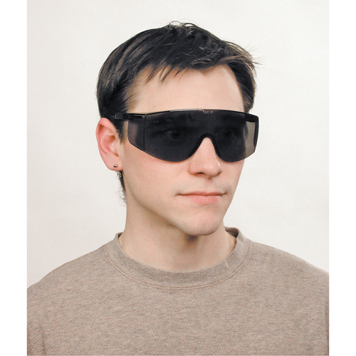 Tacoma&reg; Safety Glasses, Grey/Smoke Lens, Anti-Scratch, ANSI Z87+ Equipment World