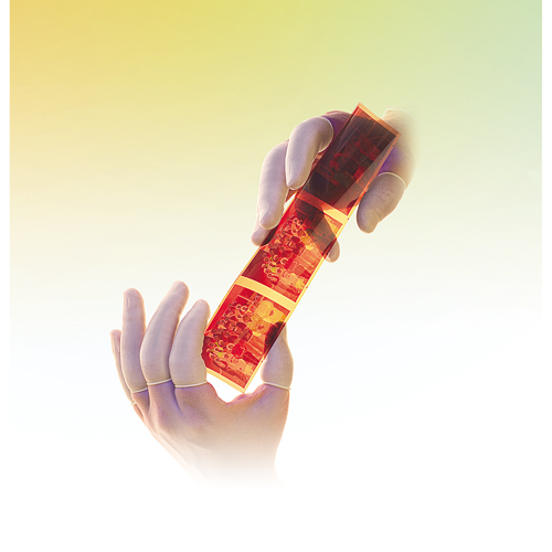 QRP&reg; Low Powder Latex Finger Cots Equipment World