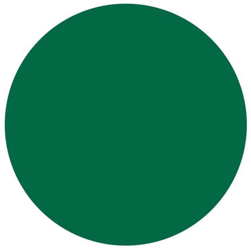 Round Write-On Labels, Circle, 3" L x 3" W, Green Equipment World