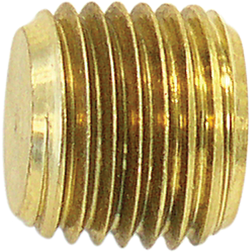 Pipe Plug (Counter Sunk Hex Head), 1/8" Dia., Brass Equipment World