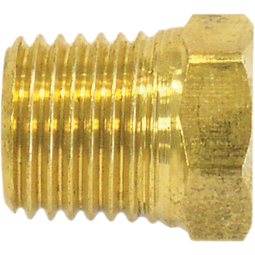 Pipe Plug (Hex Head), 1/2" Dia., Brass Equipment World