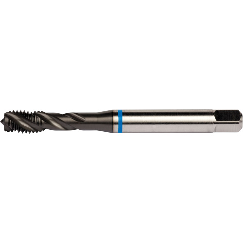 Blue Shark Spiral Flute Tap, High Speed Cobalt, 1/4"-28 Thread, 3.15" L Equipment World
