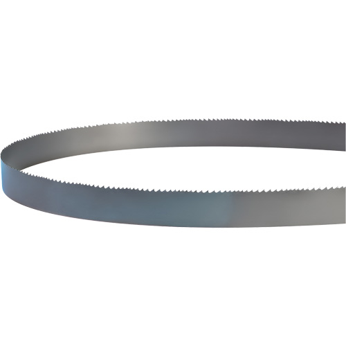 Welded Bandsaw Blade, Bi-Metal, 14' L x 1" W x 4 - 6 TPI Equipment World