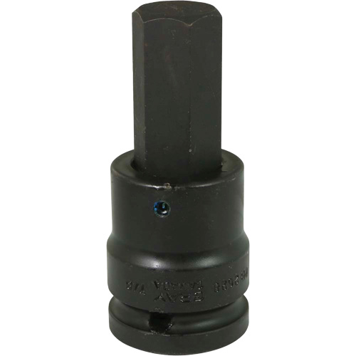 Standard Length Socket, Hex, 7/8" x 4" L, 3/4" Drive Equipment World