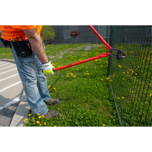 Bolt Cutter, 24" L, Center Cut Equipment World