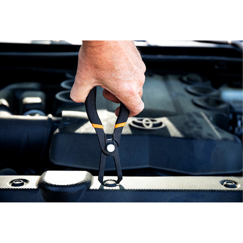 Pinces d'extraction de punaise Equipment World