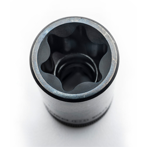 External Torx&reg; Socket Set, 1/2"/1/4"/3/8" Drive Equipment World