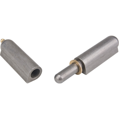 Weld-On Hinge, 0.787" Dia. x 5.906" L, Mild Steel w/Fixed Steel Pin Equipment World