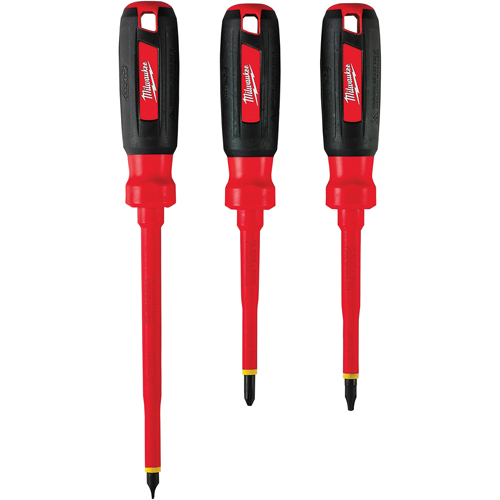 Insulated Screwdriver Kit, 1000 V, 3 Pcs Equipment World