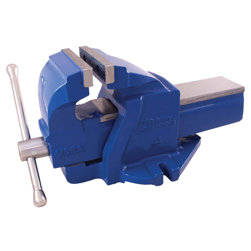 Ductile Iron Mechanics Bench Vise, 4" Jaw Width, 2" Throat Depth Equipment World
