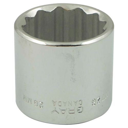 Socket, 6 mm, 3/8" Drive, 12 Points Equipment World