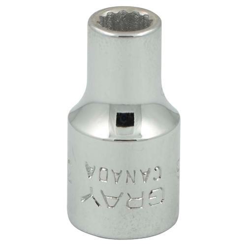 Socket, 3/16", 1/4" Drive, 12 Points Equipment World